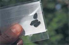 BIOSANITIZER Ecochip